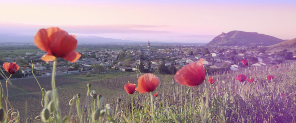 Film tourisme Rhône-Crussol Cornas