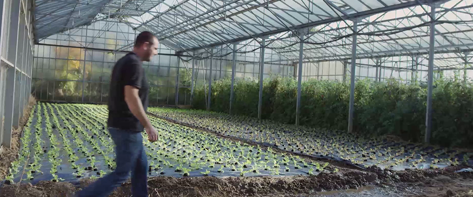 Film Ferm'andises - Magasin de producteurs Bourg-en-Bresse