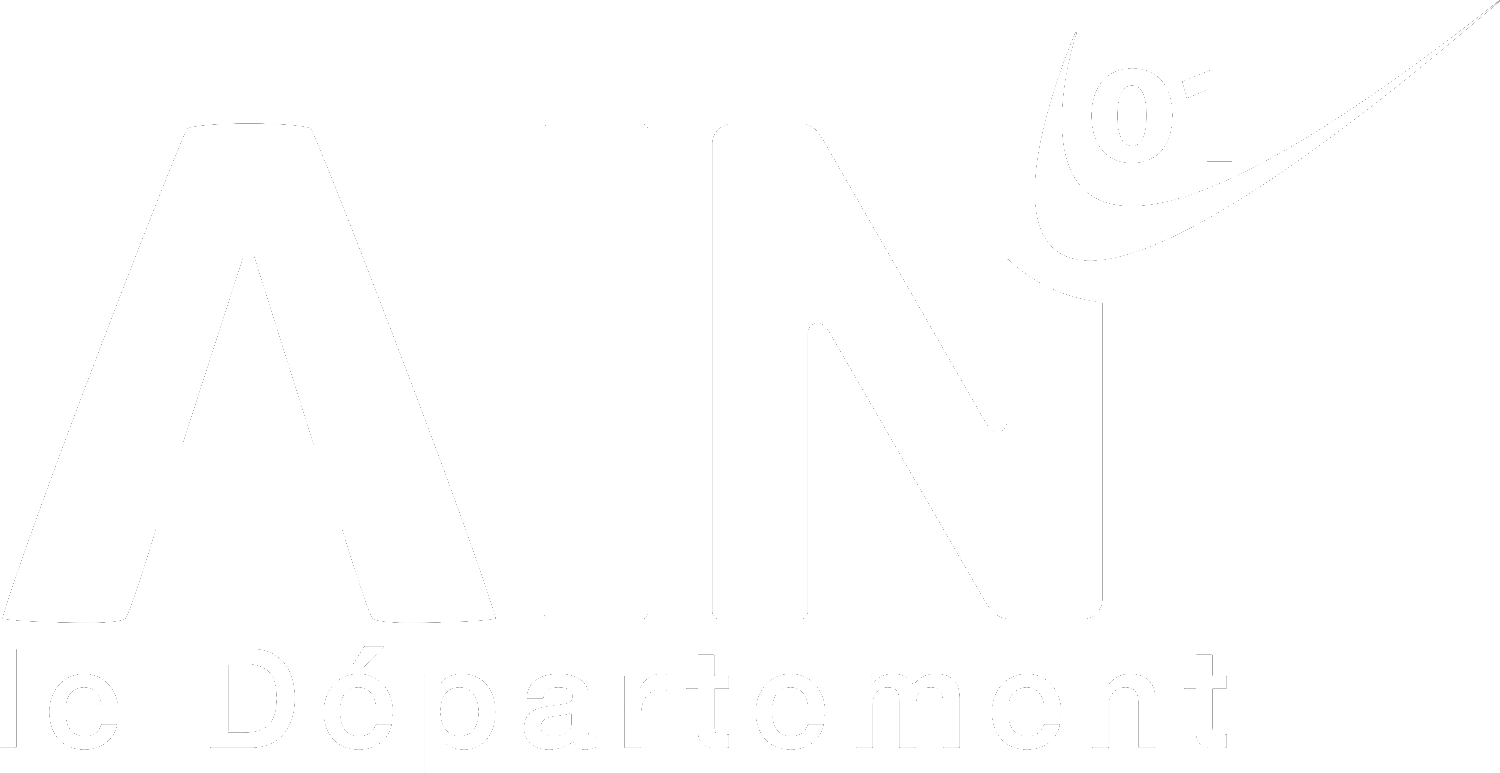 logo ain blanc