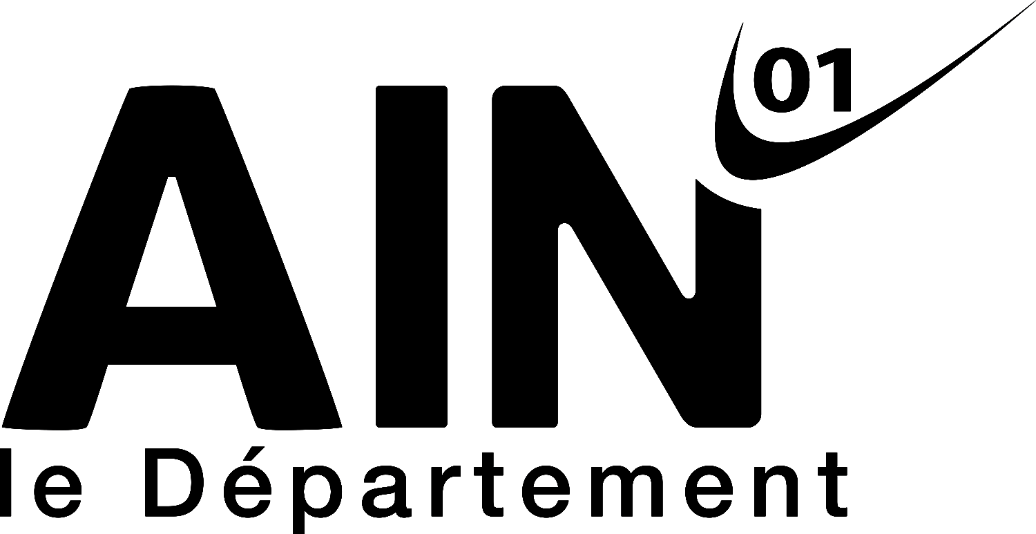 logo ain noir