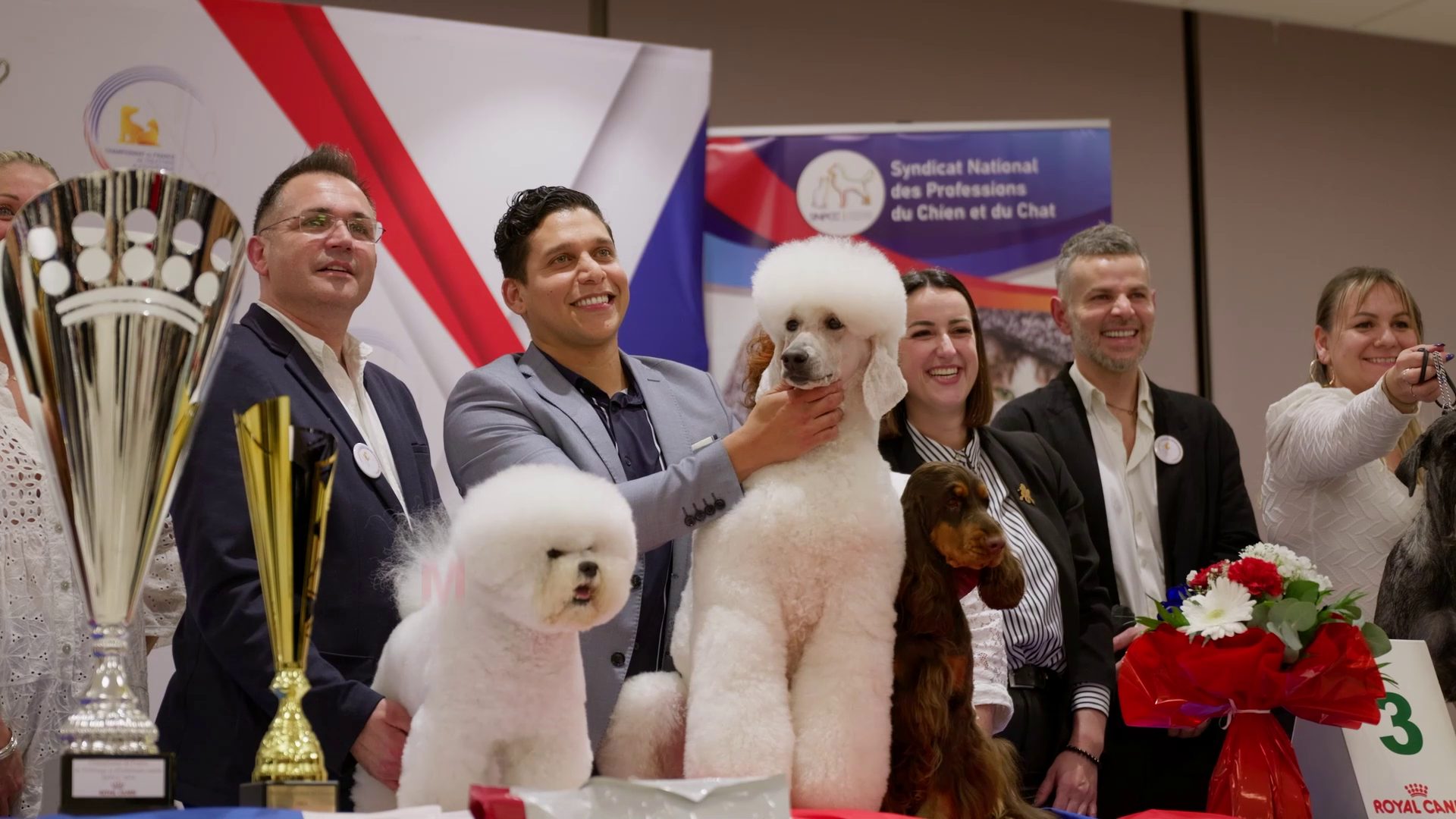 Championnat de France de toilettage canin & félin